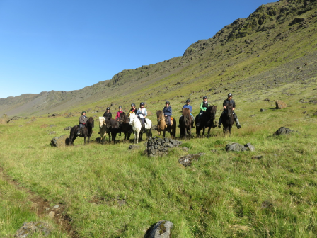 Iceland Horse Riding Tour 